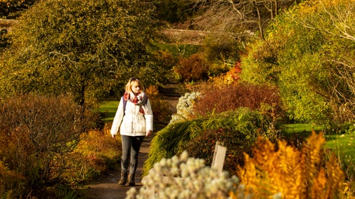 Woman walking in the garden at Wallington in Autumn